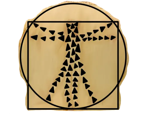 DiVinci's Vitruvian Man with boids drawn over the top.